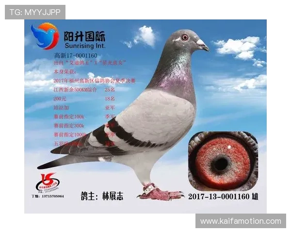 AG国际app官网提供便捷的支付方式及多样的游戏选择，尽享极致乐趣