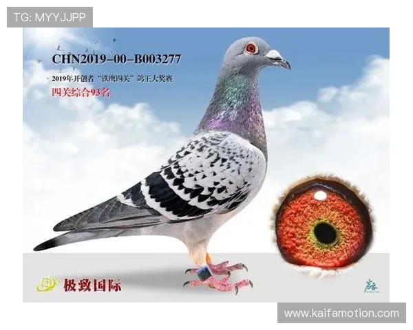 关于AG国际的全面介绍及其在全球的影响力分析